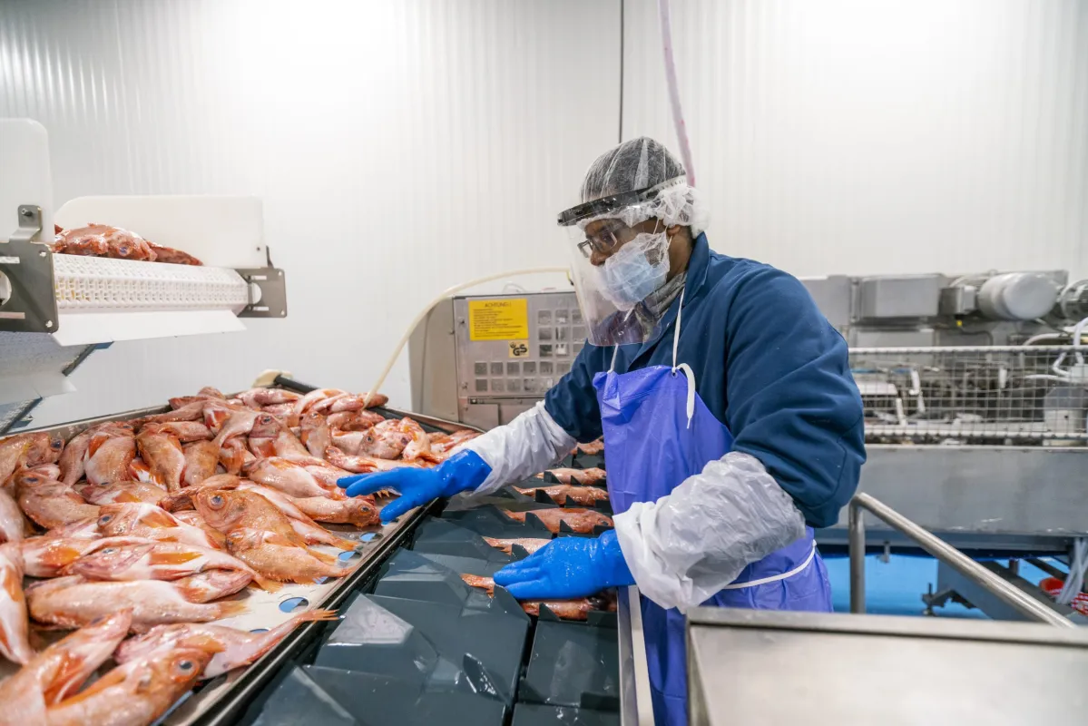 Servicios Comextrade SpA